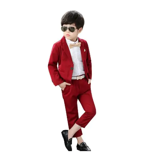 Children Handsome Business Formal Suit Dress Suppliers
