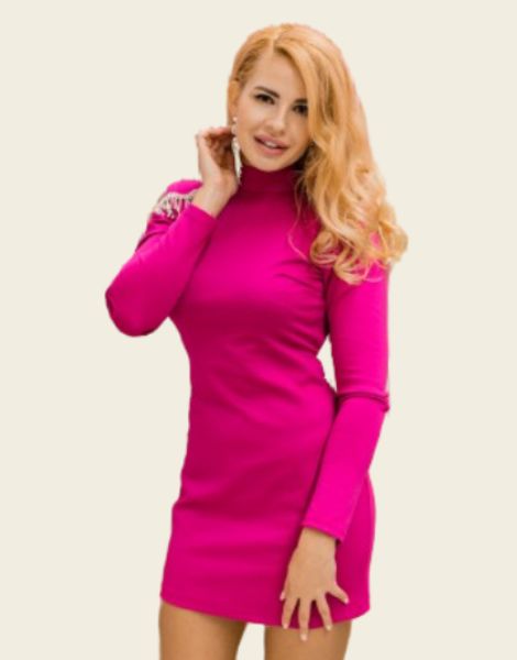 barbie long sleeve stand collar women dress